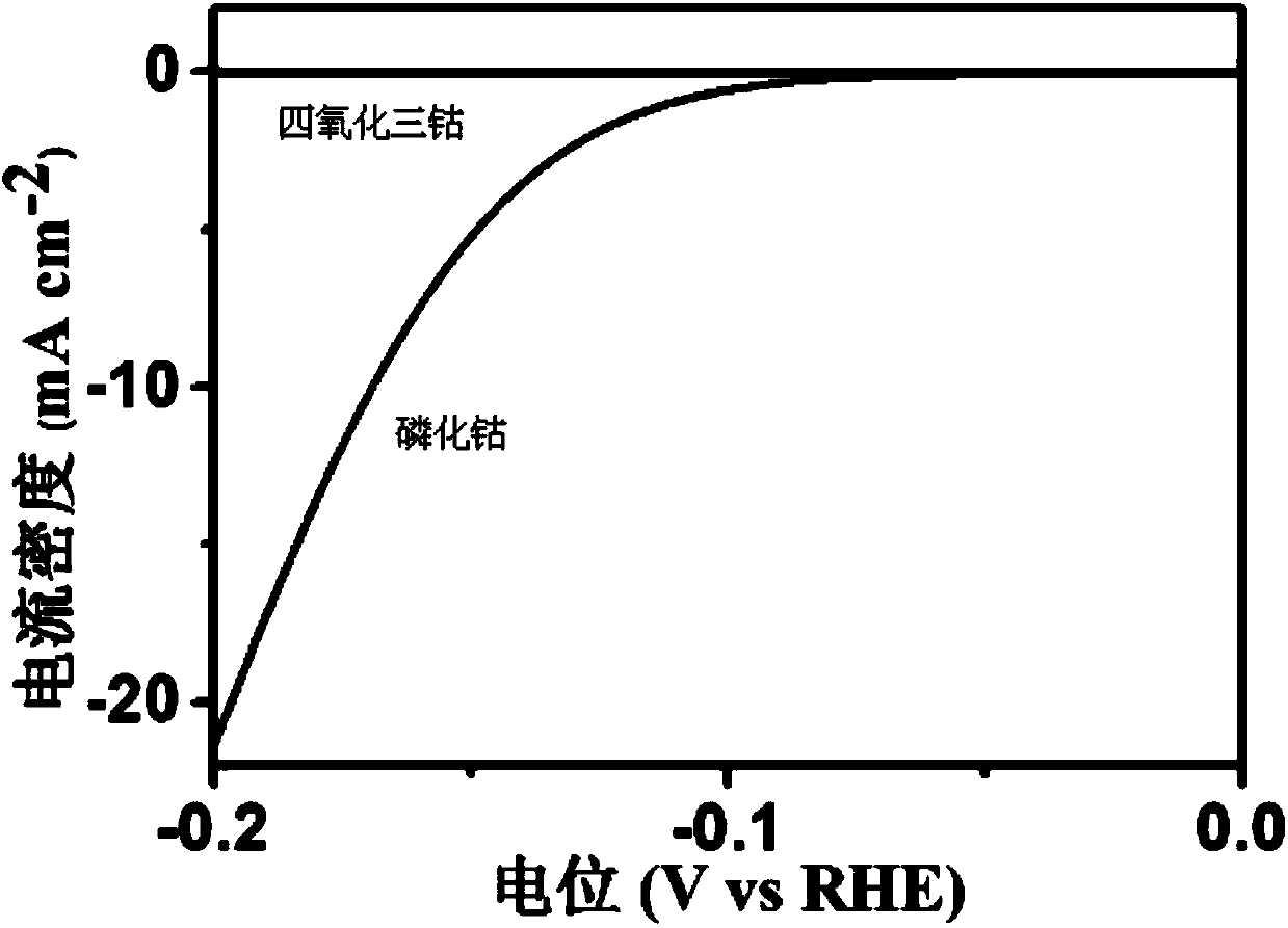 A kind of preparation method of cobalt phosphide hollow nanofiber material