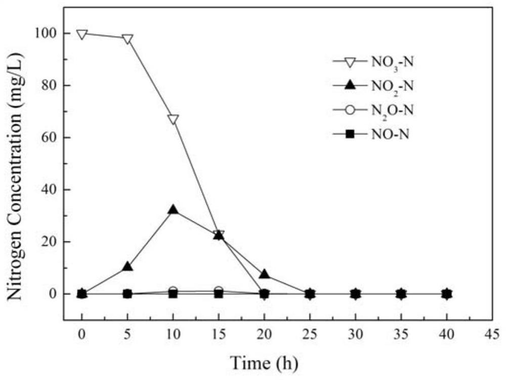A colorless bacterium resistant to nickel ion toxicity and its application