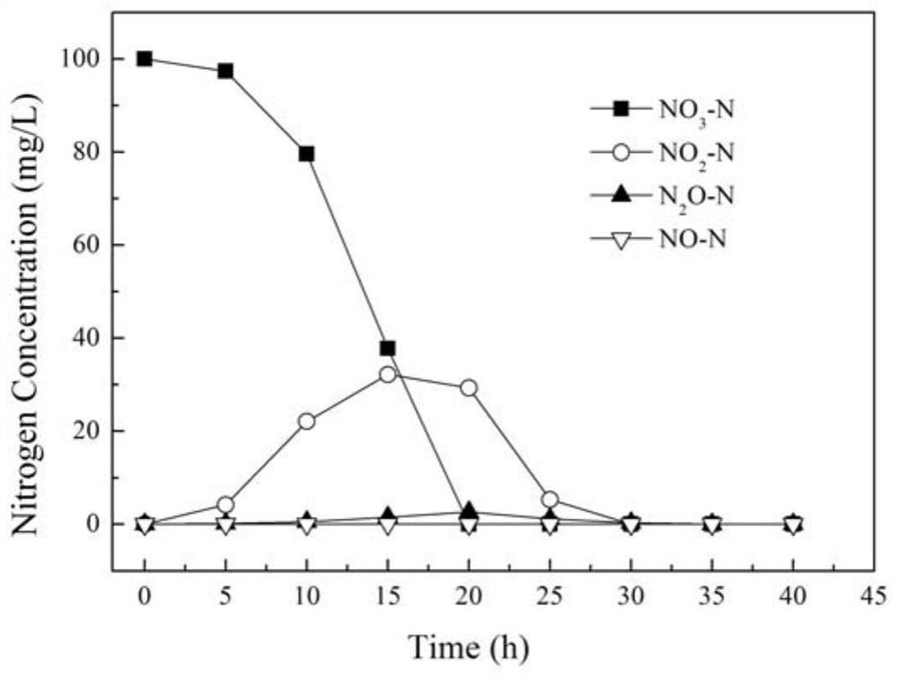 A colorless bacterium resistant to nickel ion toxicity and its application