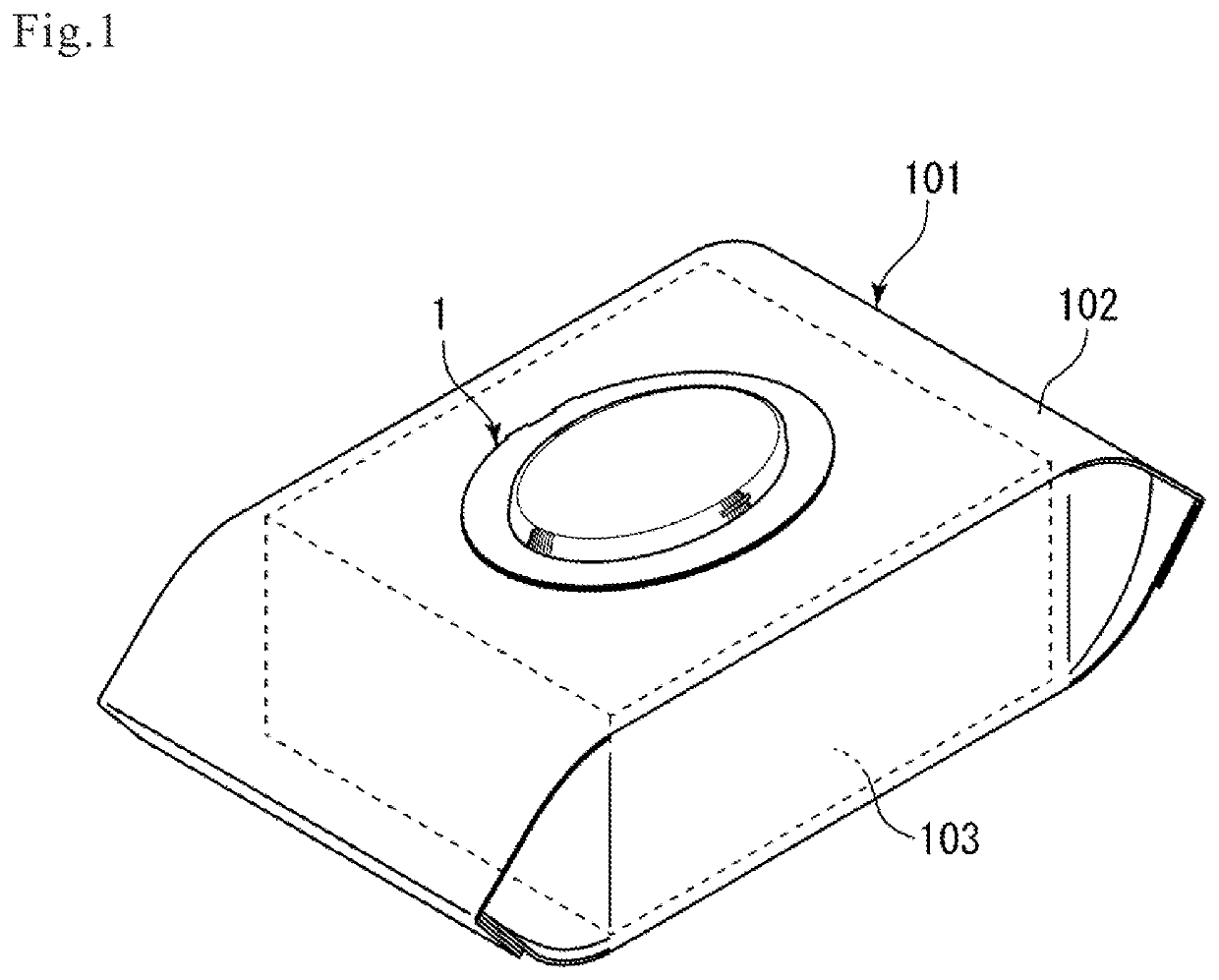 Lid member and its manufacturing method