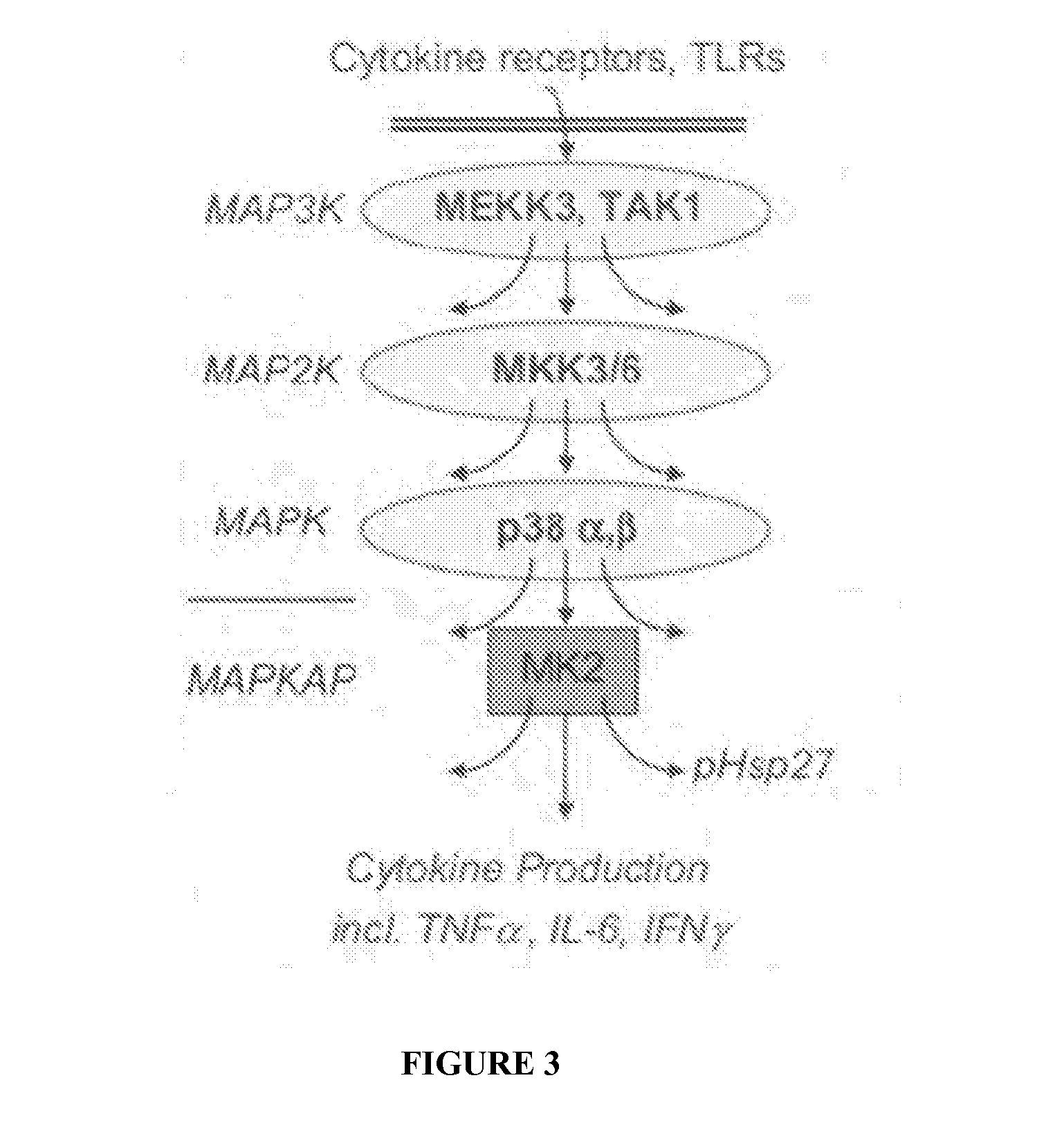 Compositions and Methods for Treating Cutaneous Scarring