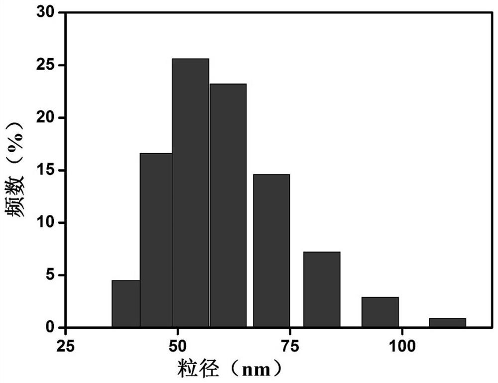 Modified kgm lecithin-loaded nmn transdermal protosomes, preparations, preparation process and application