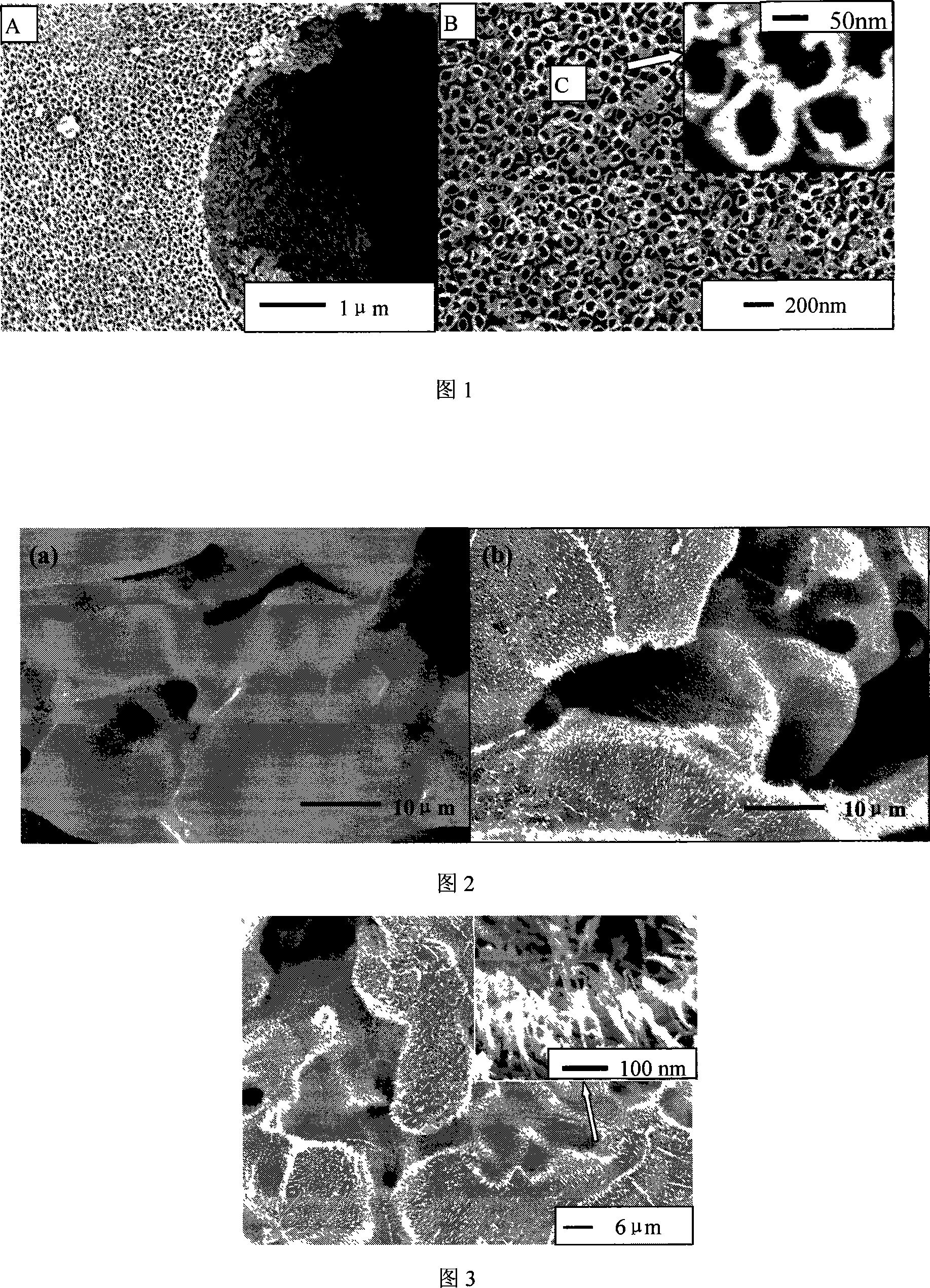 Method for preparing porous titanium filtering material surface functionalization nano-structure film