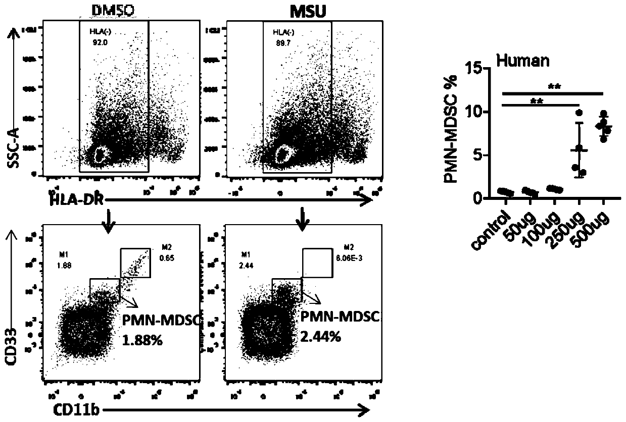 Method for generating myeloid suppressor cells through sodium urate induction[v]