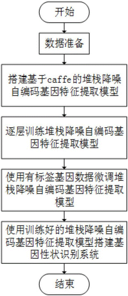 Caffe based extraction method of stack denoising self-encoding gene information characteristics