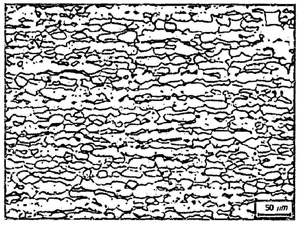 Saving type duplex stainless steel and preparation method thereof