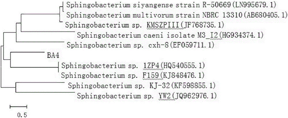 Sphingobacterium sp. with aniline degradation capability and application thereof