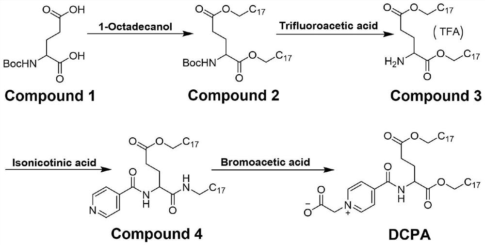 Water bridge mediated superresponse functional synergistic zwitter-ion lipid as well as preparation method and application thereof