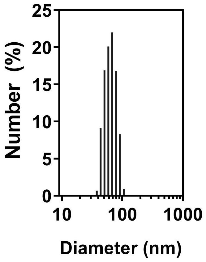 Water bridge mediated superresponse functional synergistic zwitter-ion lipid as well as preparation method and application thereof