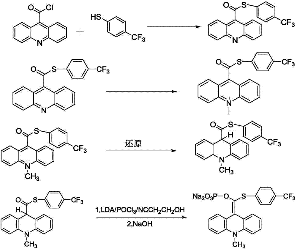 Acridinium ester derivative, synthesis method and application thereof