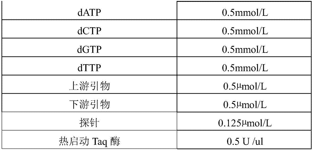 Bis-hot-start DNA polymerase containing nano-antibody and PCR amplification detection method