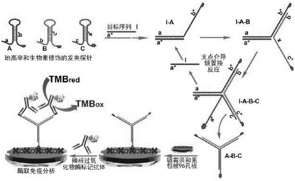 Nucleic acid detection method and kit