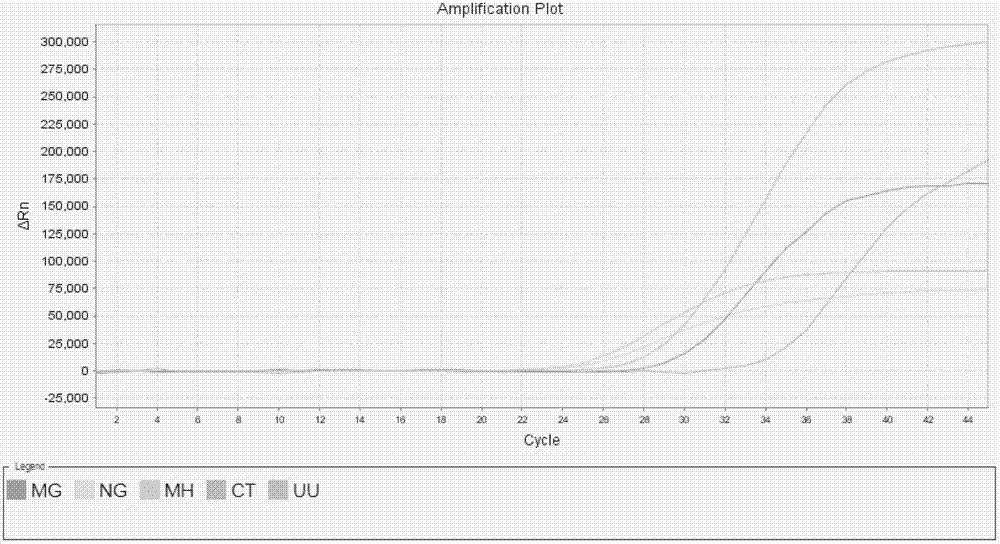 Quintuple fluorescent PCR (polymerase chain reaction) quick and hypersensitive detection kit and application thereof