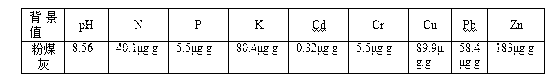 Method for preventing heavy metal in sludge matrix from being leaked by adoption of interlayer of fly ash and biochar