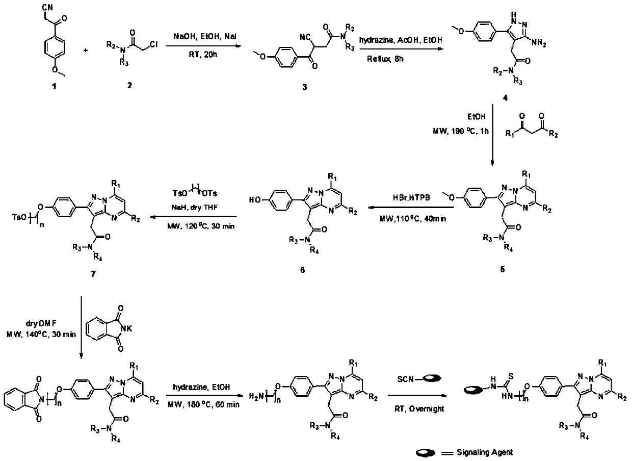 Tspo fluorescent imaging probe and its synthesis method and application