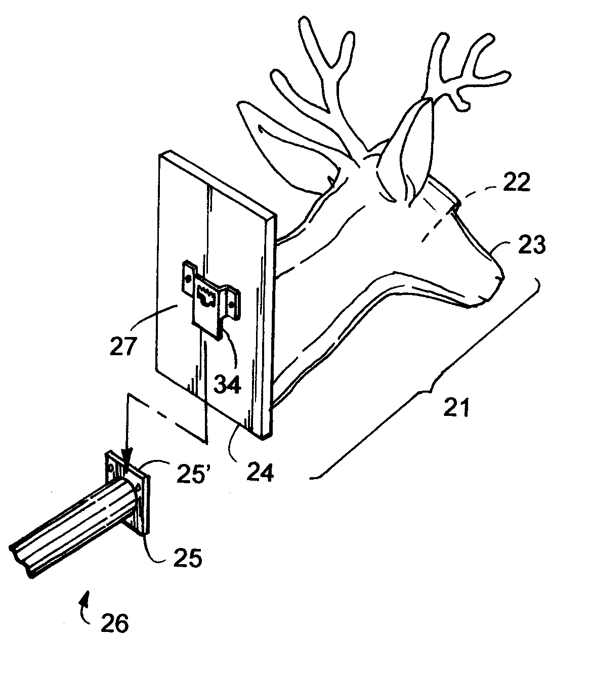 Taxidermy hanger system and method