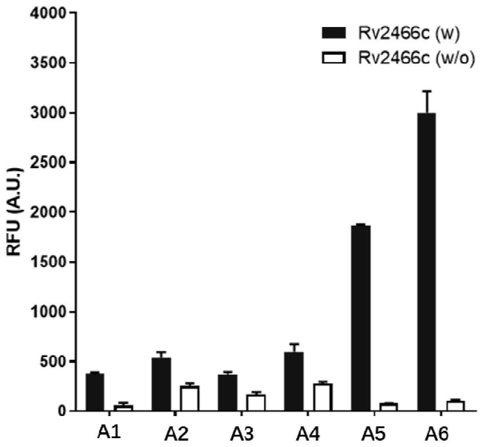 Furocoumarin compound and application thereof in detection of mycobacterium tuberculosis