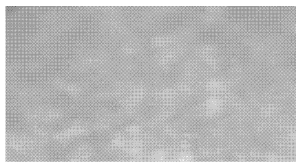 High-effective-magnetic-permeability cobalt-nickel based microcrystalline magnetic material and preparation method thereof