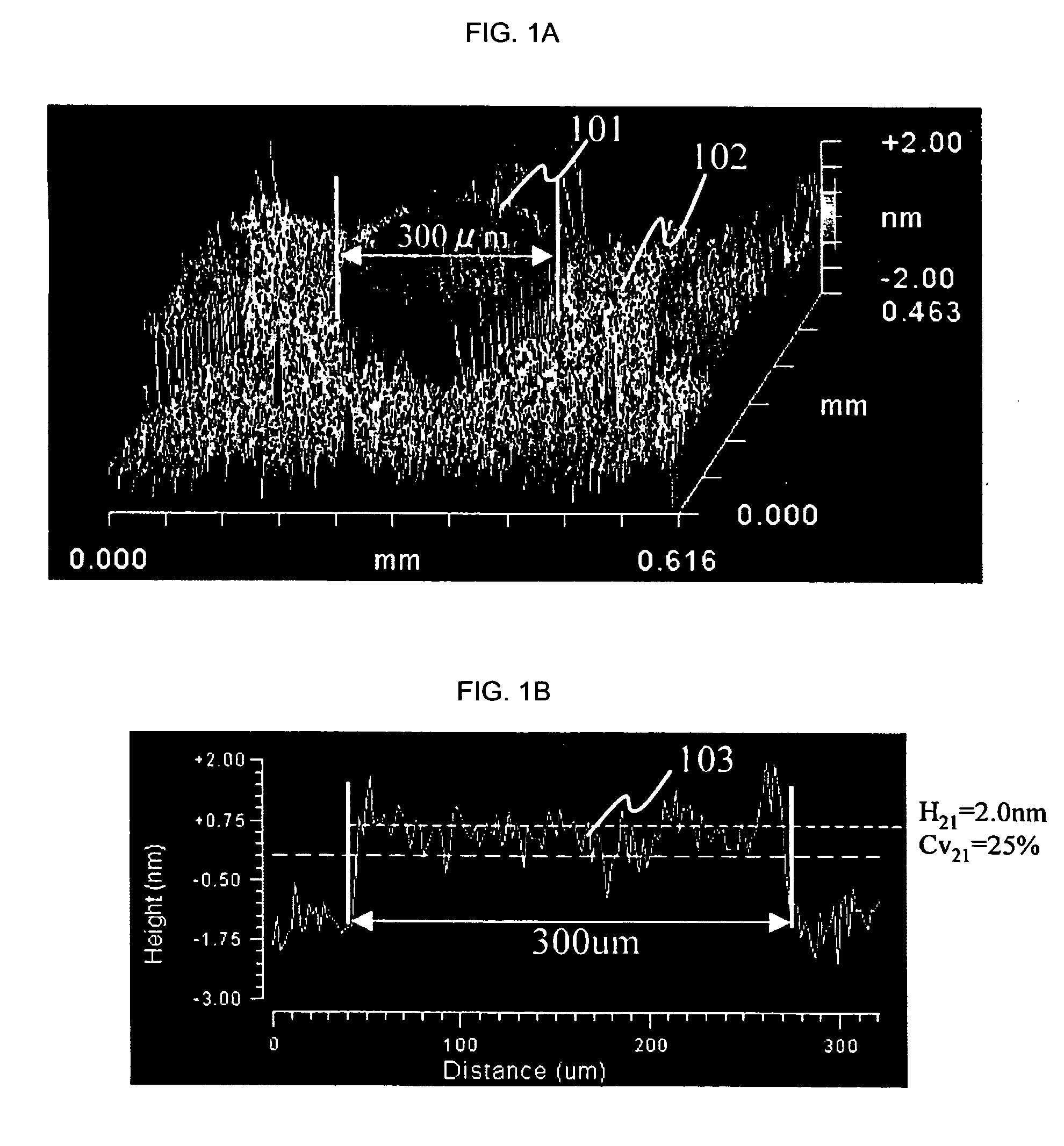 Method for manufacturing a biosensor element and for testing the same
