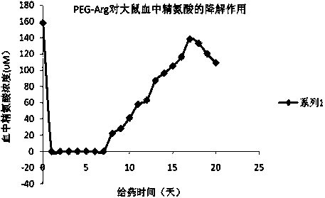 Sulfhydryl modified recombinant human arginase I, as well as preparation method and application thereof