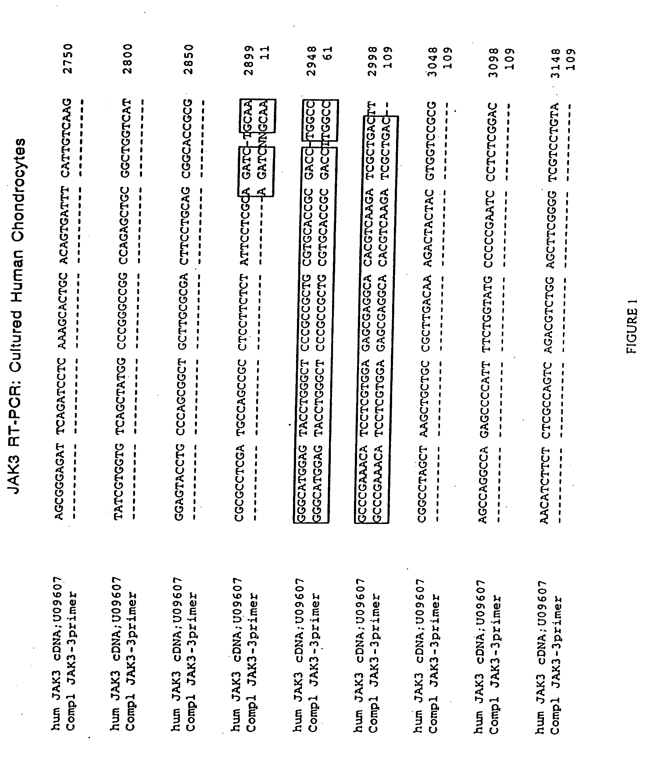 JAK/STAT pathway inhibitors and uses thereof
