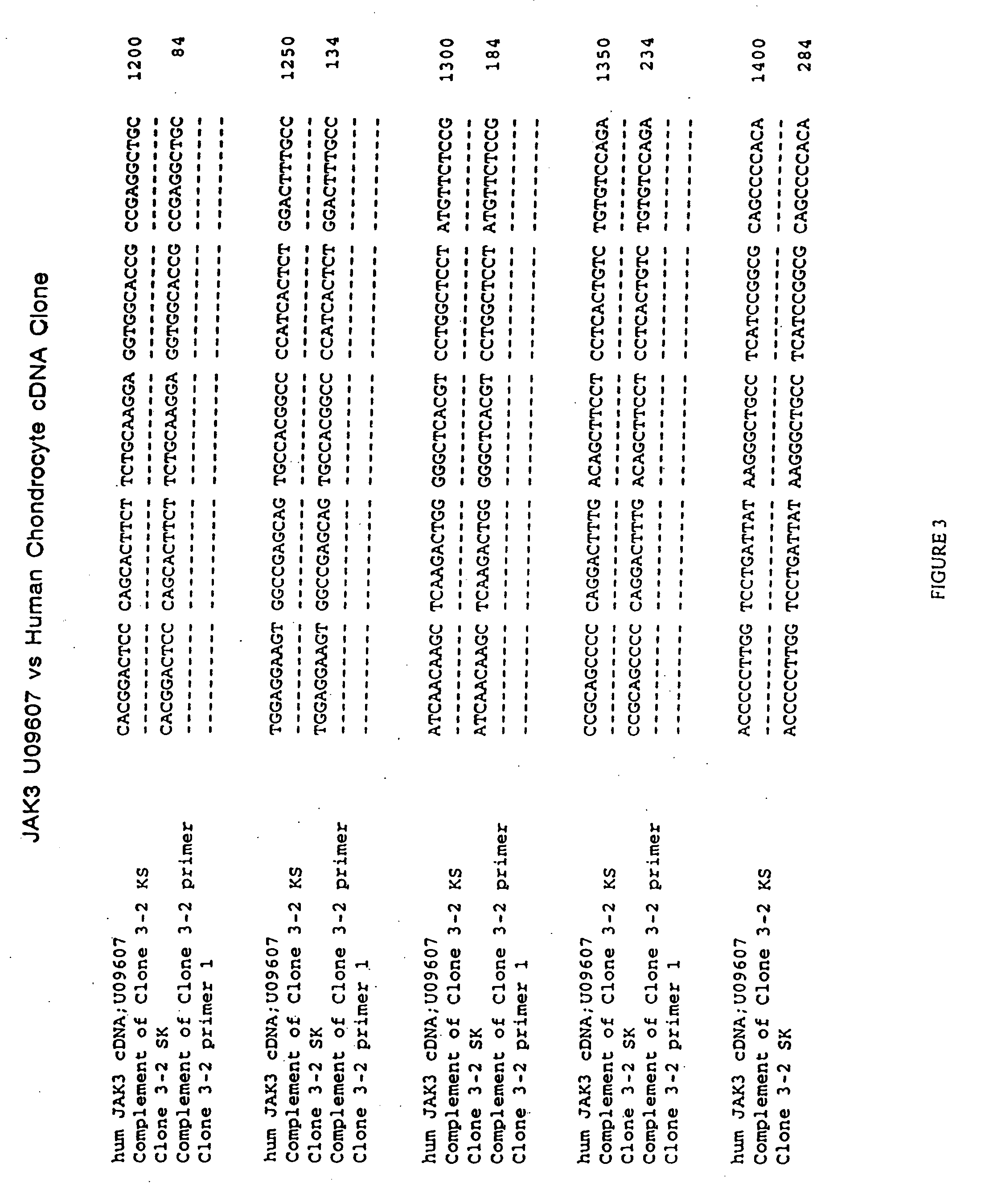 JAK/STAT pathway inhibitors and uses thereof