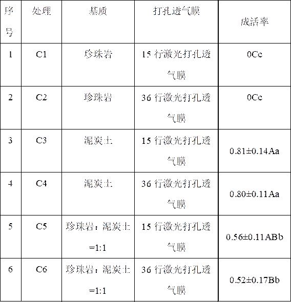 Yard rose tissue culture seedling ex-vitro rooting method