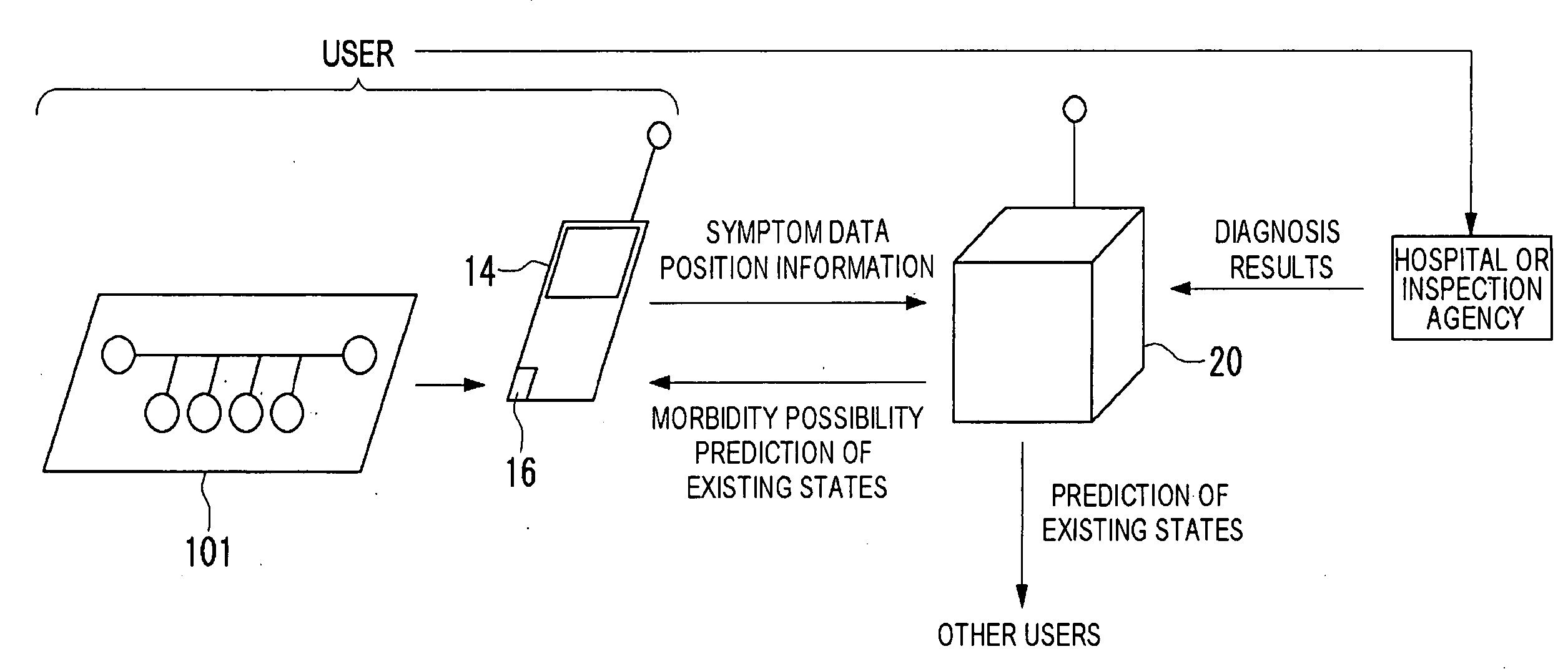Diagnostic support system and mobile terminal