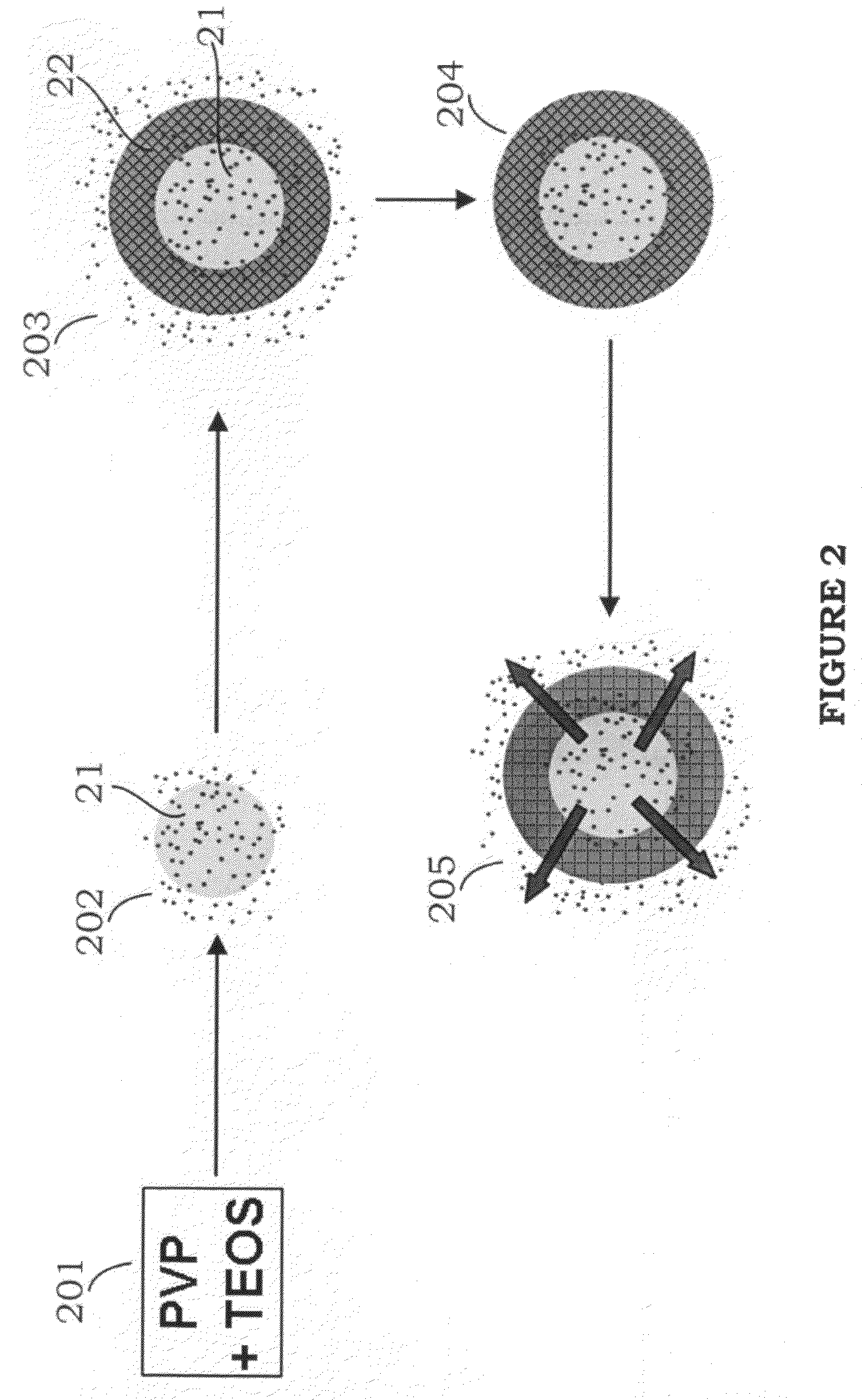 Method of forming a drug nanocarrier having a magnetic shell
