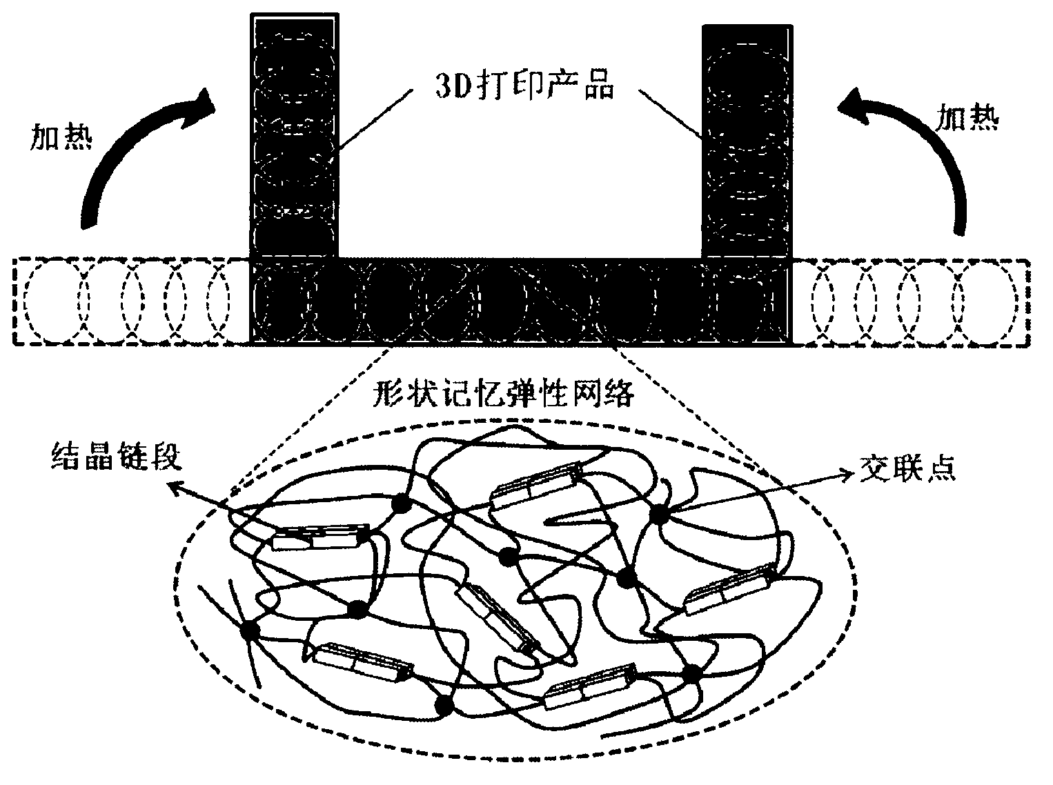 Rapid prototyping shape memory high polymer material and preparation method and application thereof