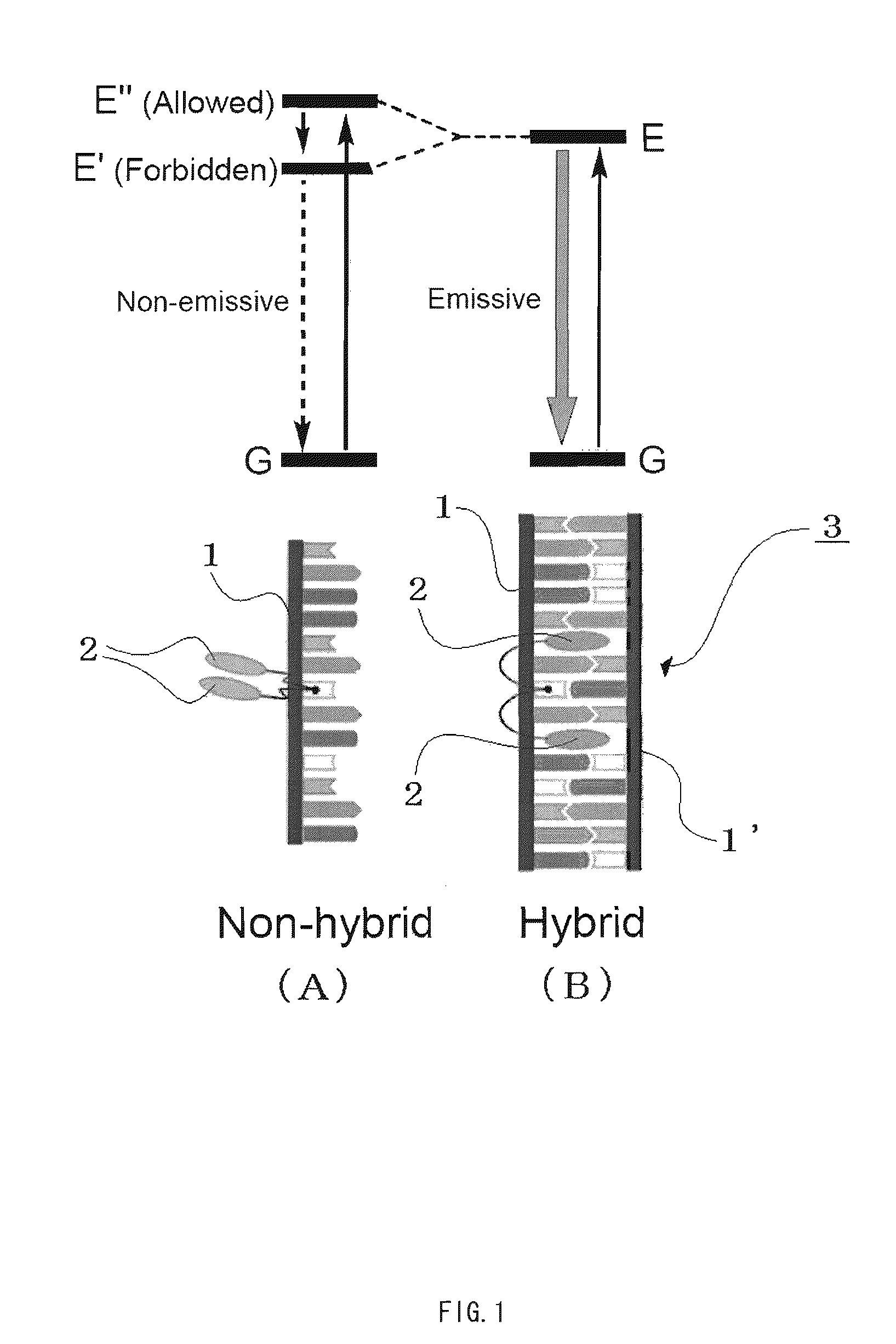 Compound having structure derived from mononucleoside or mononucleotide, nucleic acid, labeling substance, and method and kit for detection of nucleic acid
