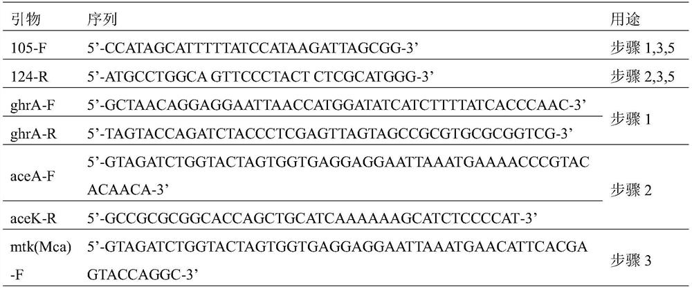 A kind of recombinant escherichia coli producing glycolic acid and its construction method and application