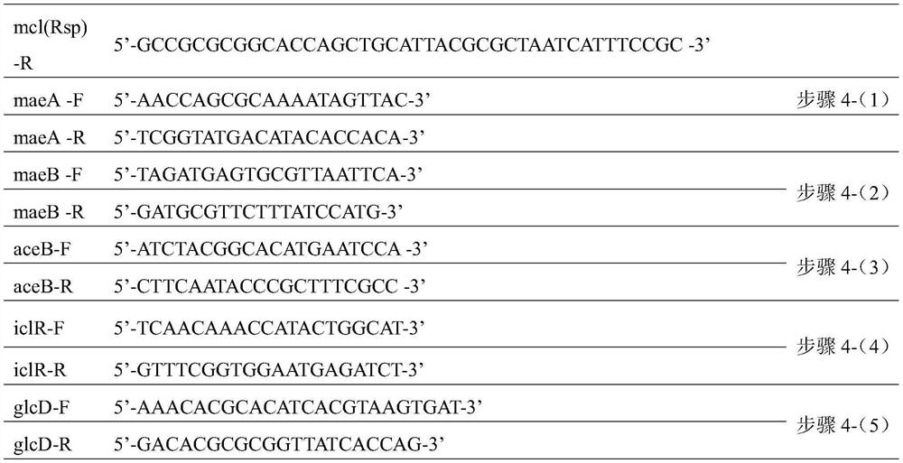 A kind of recombinant escherichia coli producing glycolic acid and its construction method and application