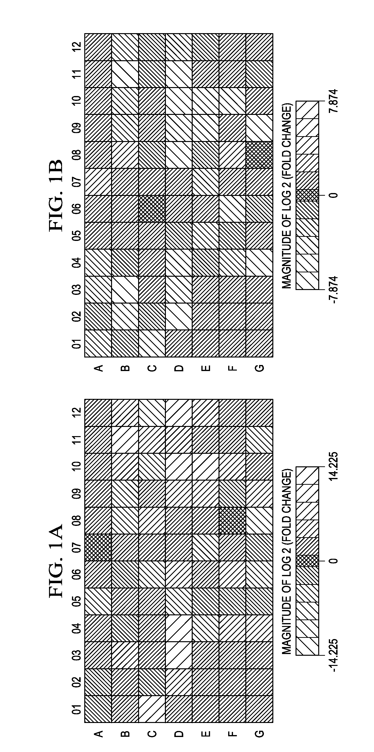Method of achieving normoglycemia in diabetics by administration of Withaferin A