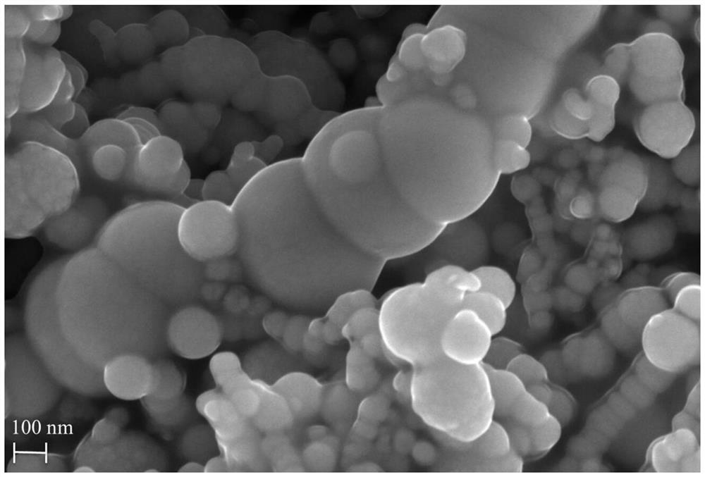 A kind of sulfurized nano zero-valent iron particles and its preparation method and application