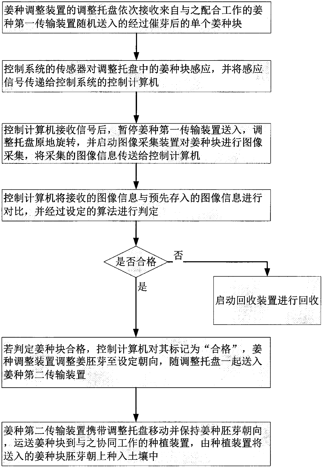 Method and device for directionally planting ginger germ