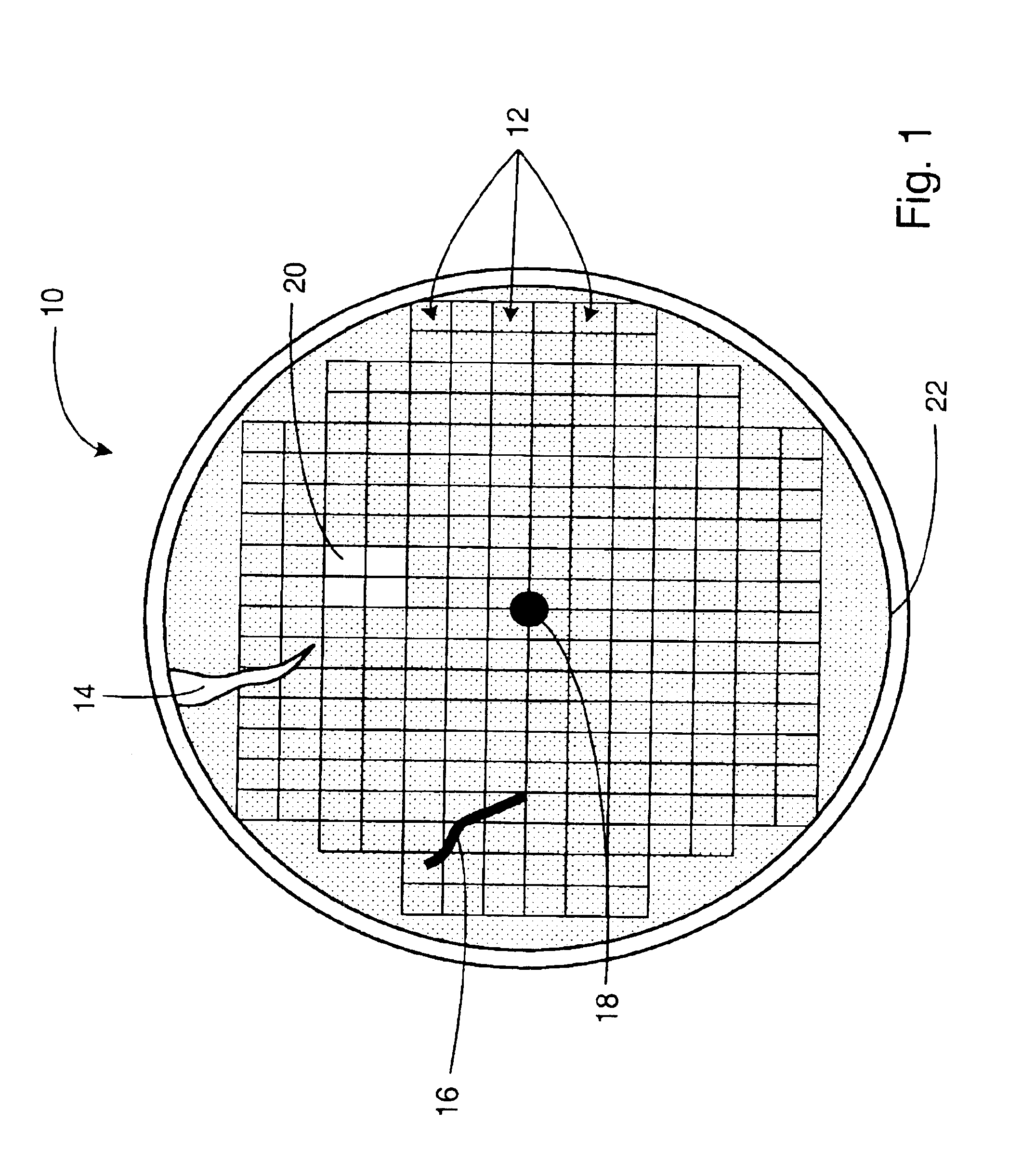 Methods and systems for determining flatness, a presence of defects, and a thin film characteristic of a specimen