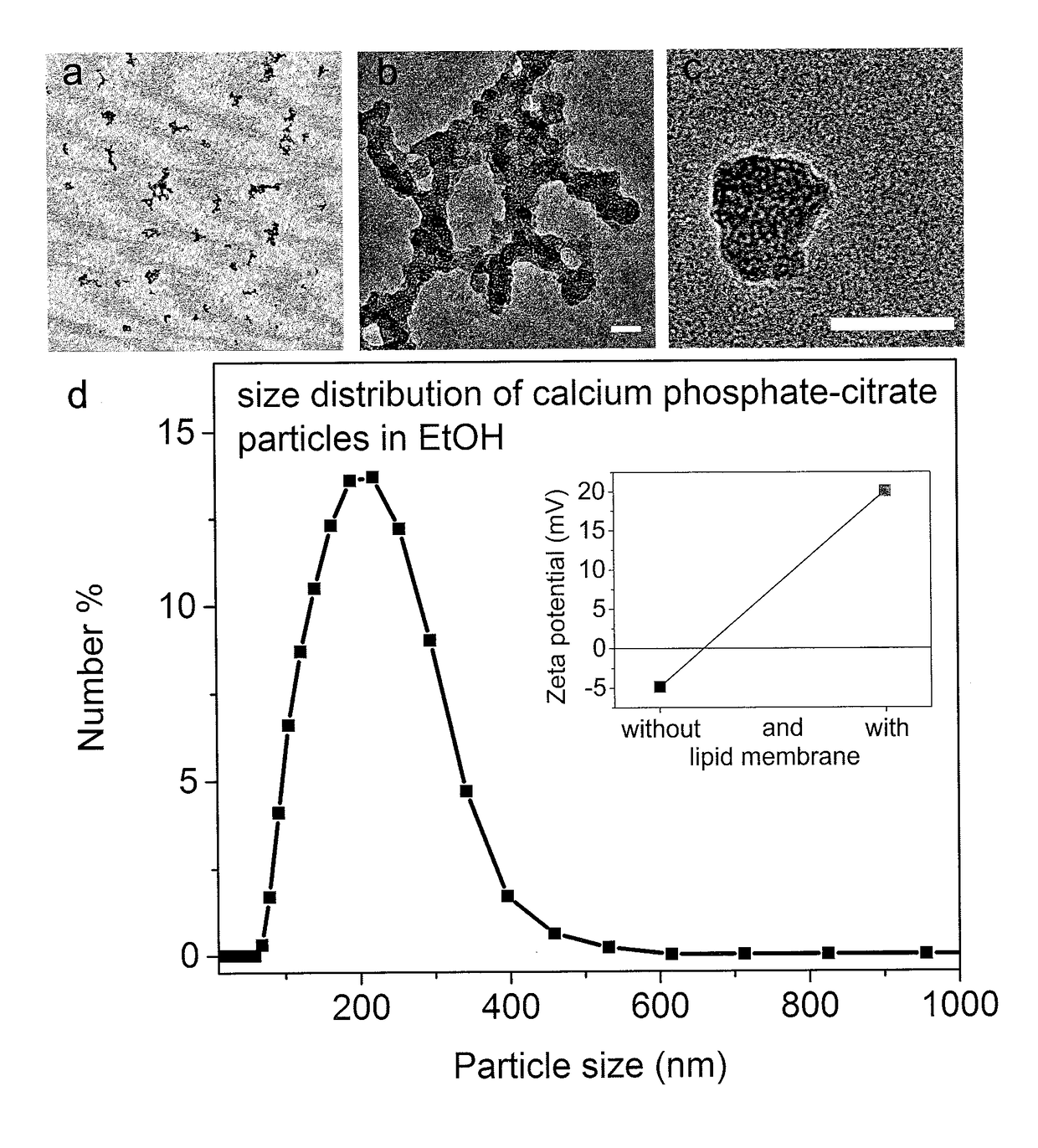 Mesoporous calcium phosphate-citrate nanoparticles and uses thereof