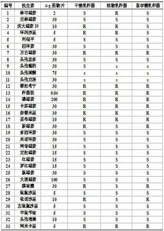 Lactobacillus plantarum specific culture medium and application thereof