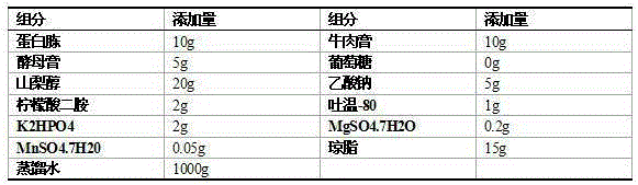 Lactobacillus plantarum specific culture medium and application thereof