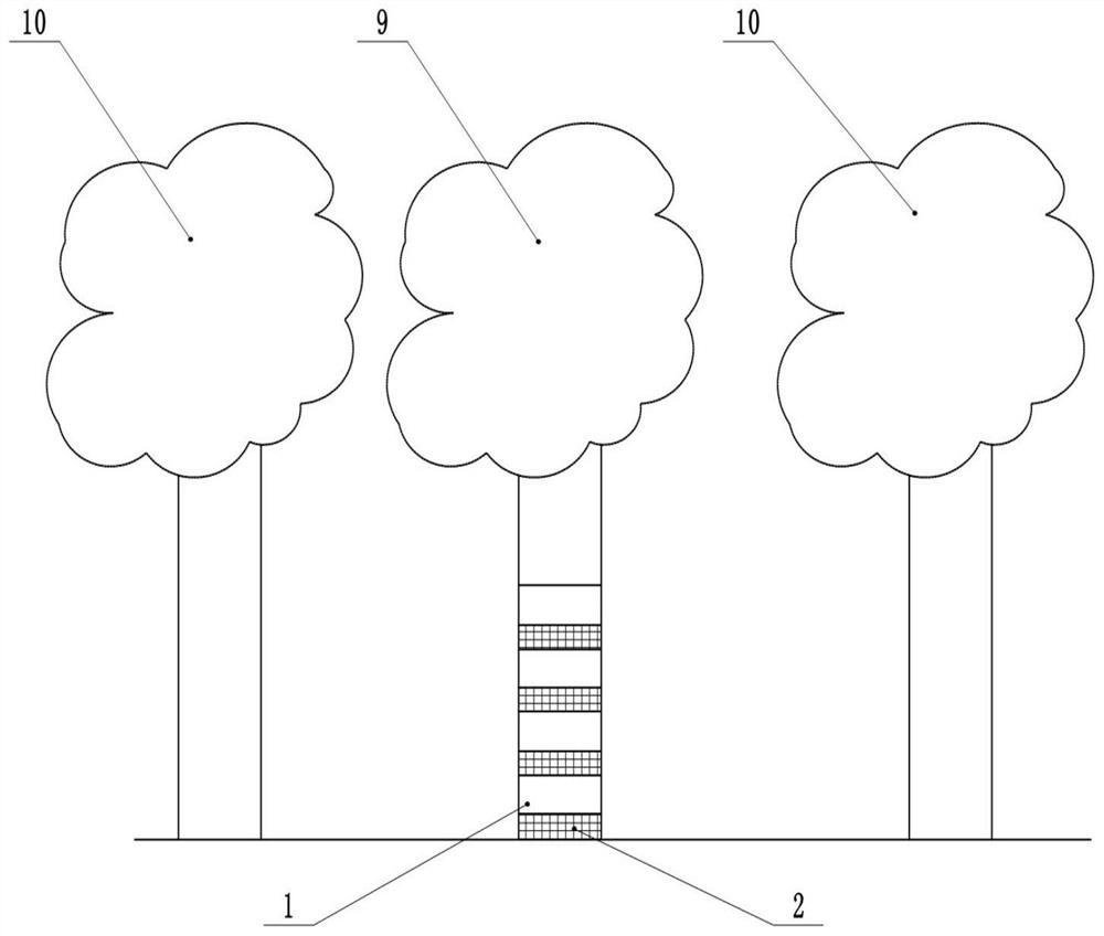 A kind of forestry pest control method