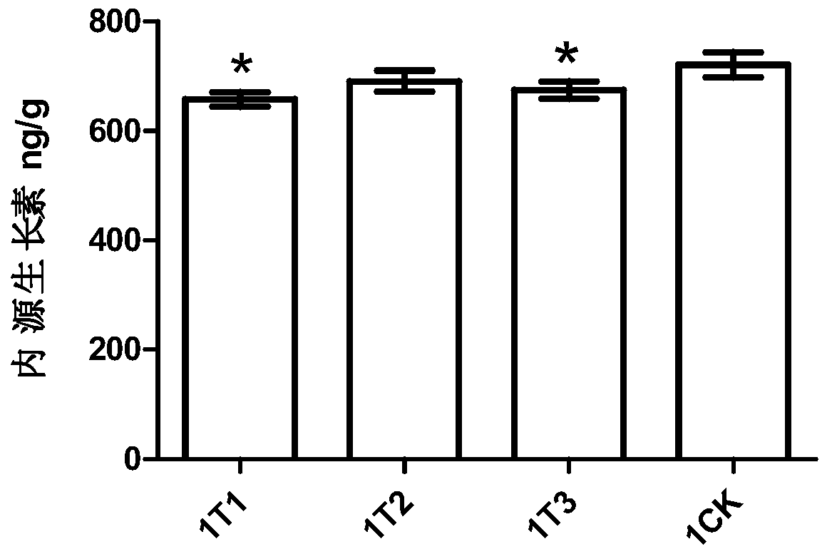 Microbial agent composition for facilitating Macadamia nut growth