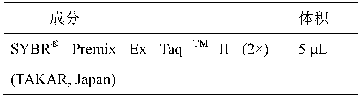 Method for detecting GAL3ST1 gene copy number variation of cattle and application thereof