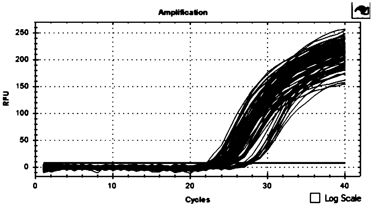 Method for detecting GAL3ST1 gene copy number variation of cattle and application thereof