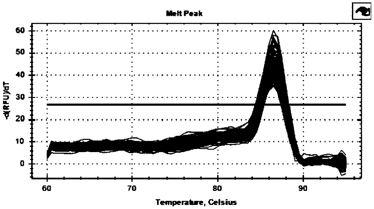 Method for detecting GAL3ST1 gene copy number variation of cattle and application thereof