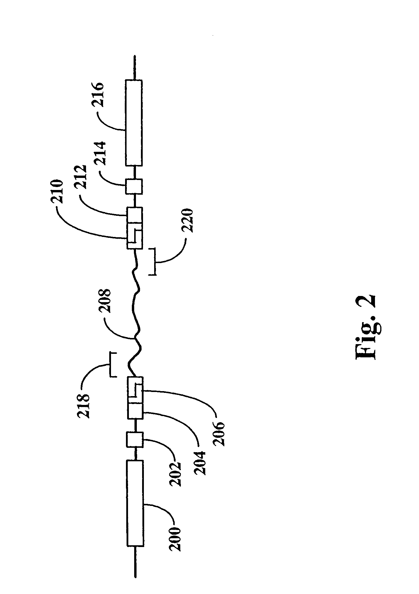 Method and compositions for ordering restriction fragments