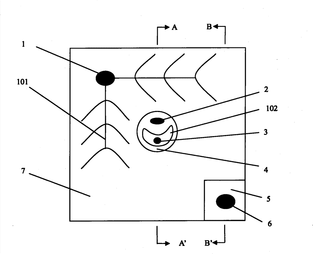 High-power LED (light-emitting diode) with Schottky diode for measuring temperature
