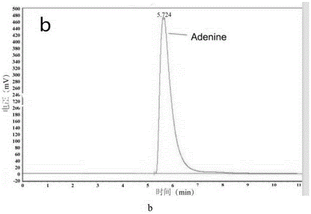 Method for determining ribosome inactivating protein activity