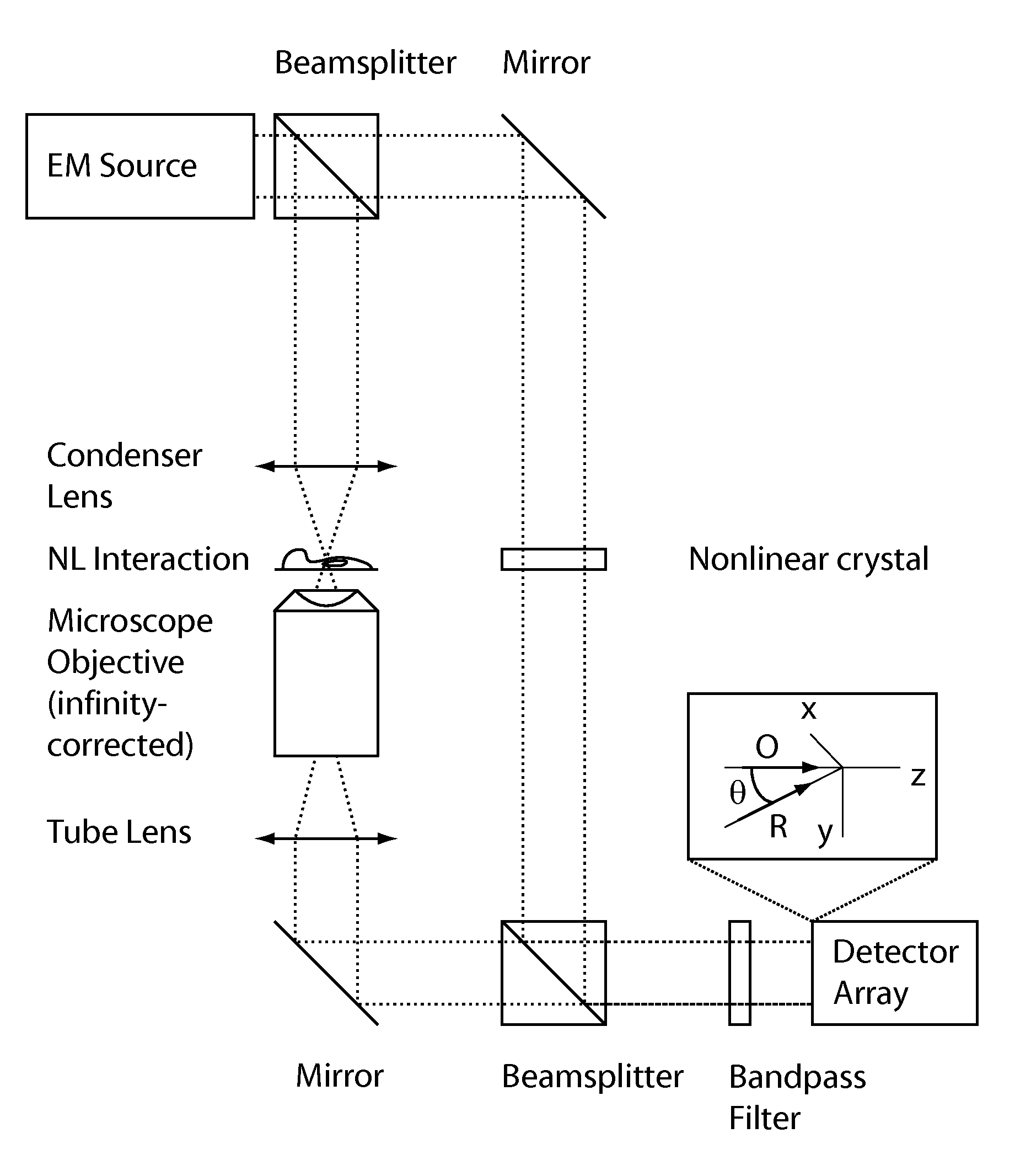 Method and apparatus for retrieval of amplitude and phase of nonlinear electromagnetic waves