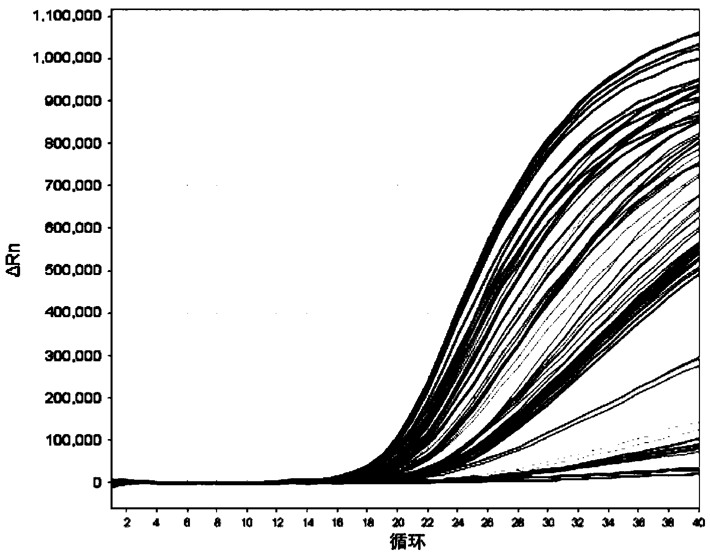 miRNA markers and their application related to early recurrence and prognosis of esophageal cancer